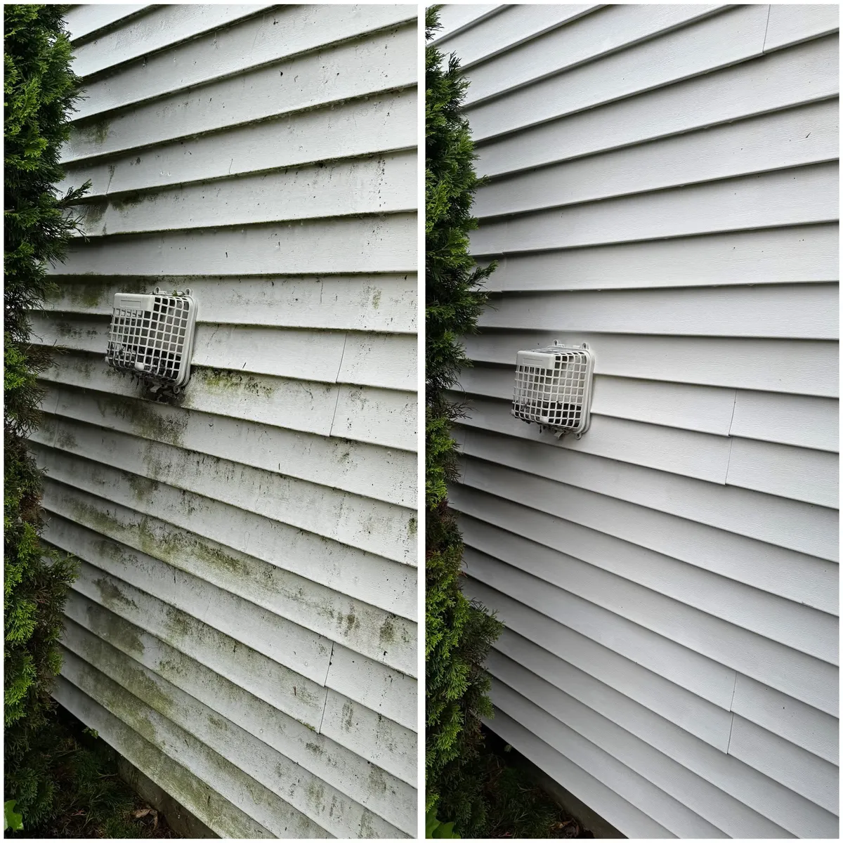 man sitting near museum painting