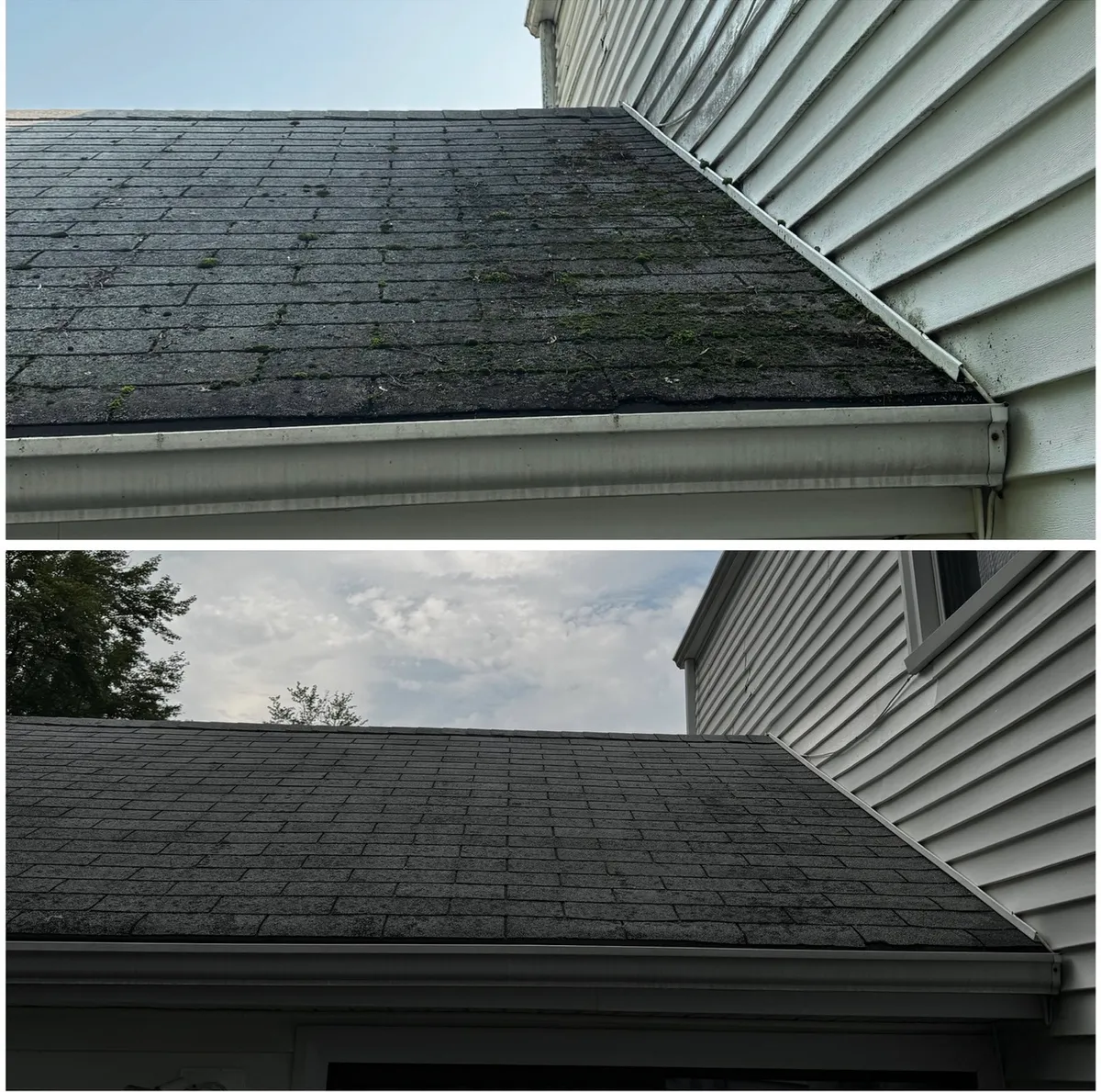 Image that's part of the gallery of images for the website